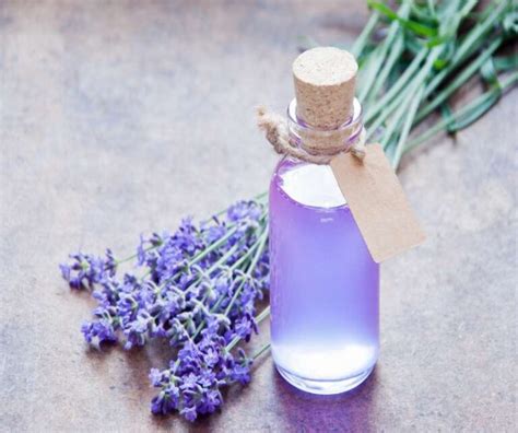 Lavender Oil and its Magical Properties for Balancing Skin and Hair